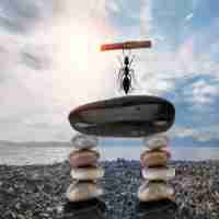 seo基‌础‌入‌门﻿知‍识‌